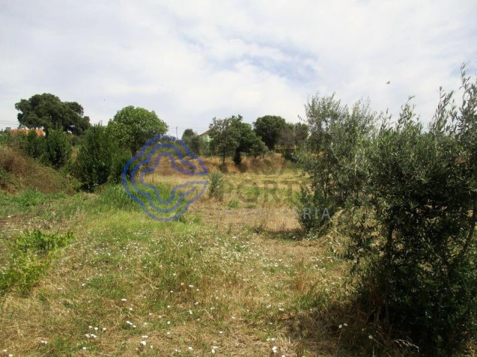 Terreno para Venda em Beco Foto 9