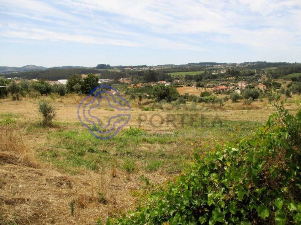 Terreno para Venda em Beco Foto 7