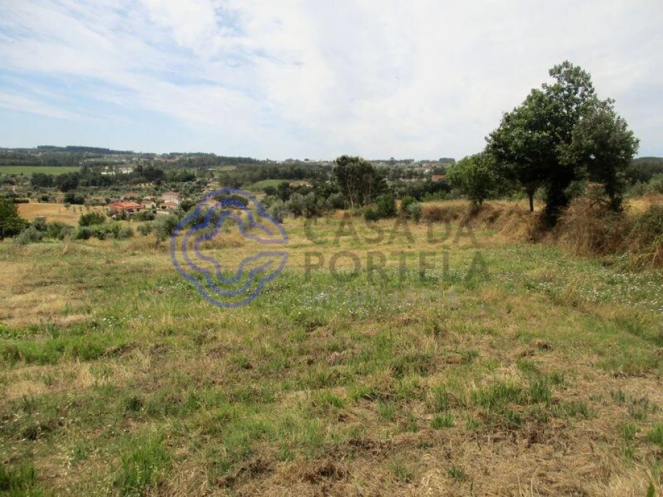 Terreno para Venda em Beco Foto 1
