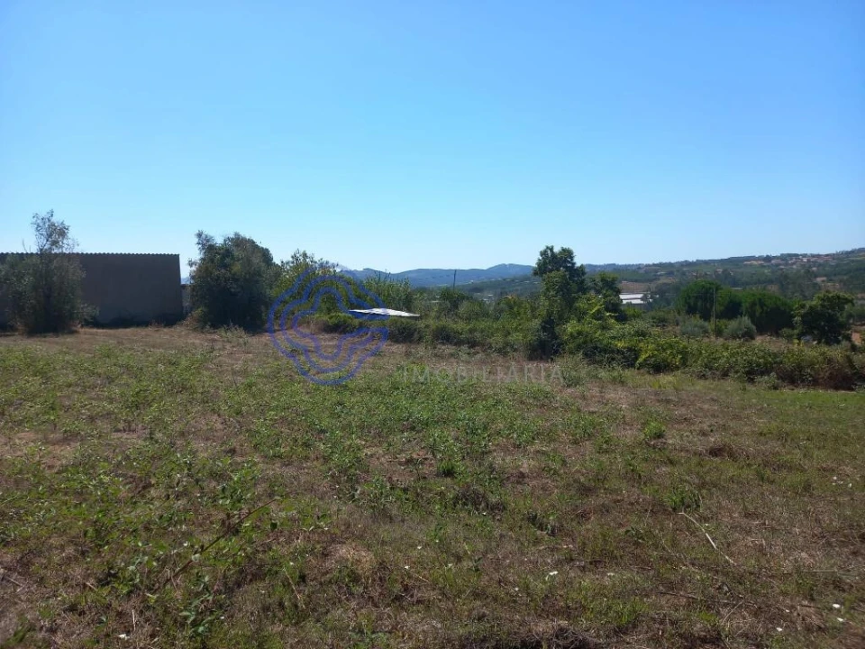 Terreno para Venda em Beco Foto 2