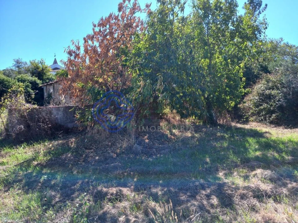Terreno para Venda em Beco Foto 9