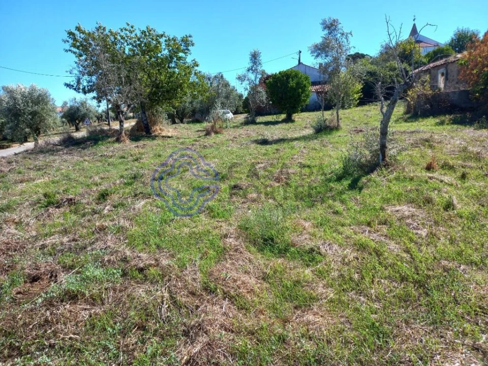 Terreno para Venda em Beco Foto 13