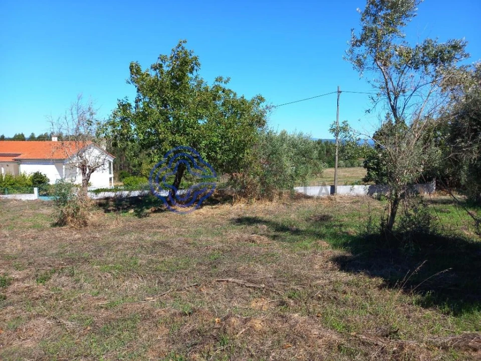Terreno para Venda em Beco Foto 11