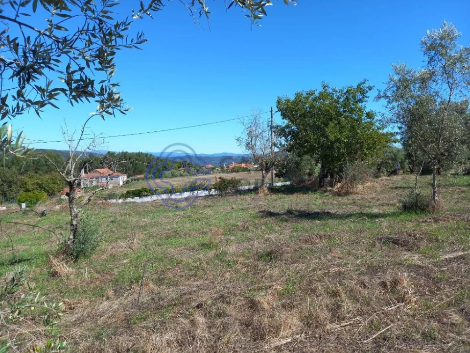 Terreno para Venda em Beco Foto 1