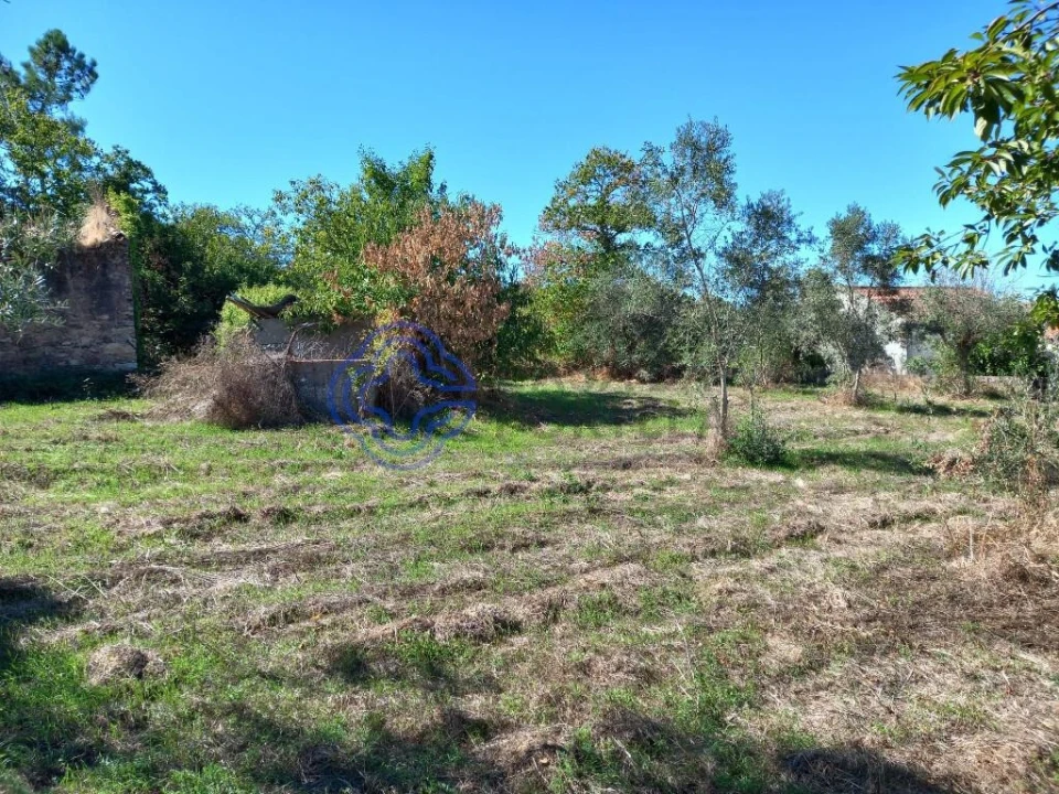 Terreno para Venda em Beco Foto 4