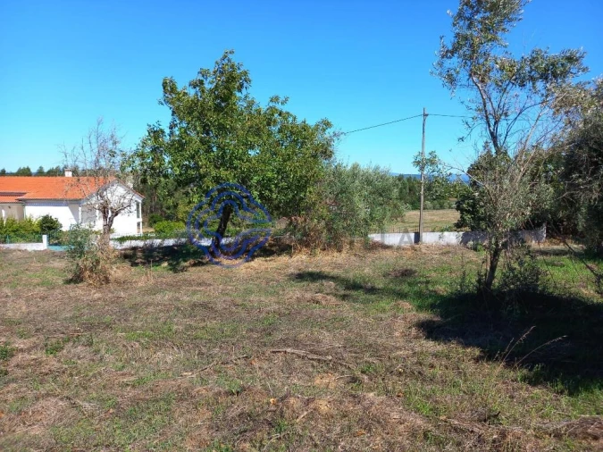 Terreno para Venda em Beco Foto 11