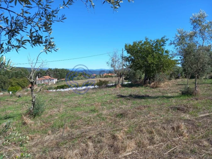 Terreno para Venda em Beco Foto 1