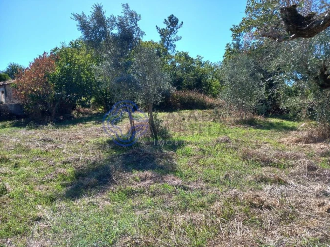 Terreno para Venda em Beco Foto 8