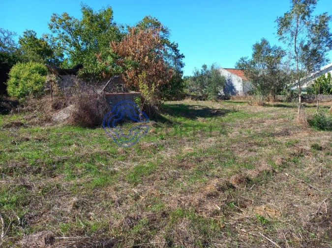 Terreno para Venda em Beco Foto 3