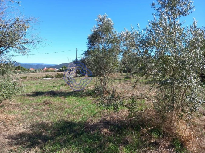 Terreno para Venda em Beco Foto 2