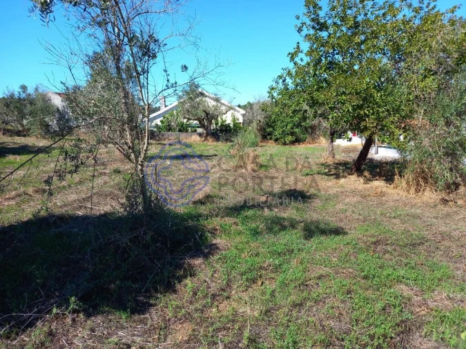 Terreno para Venda em Beco Foto 6