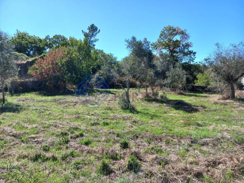 Terreno para Venda em Beco Foto 7