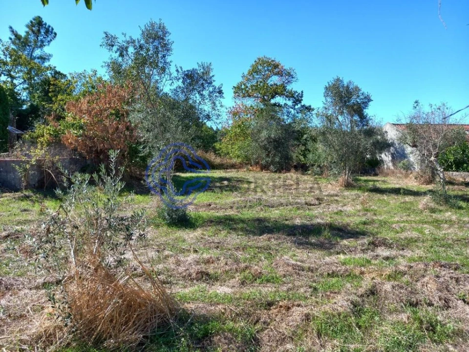 Terreno para Venda em Beco Foto 5