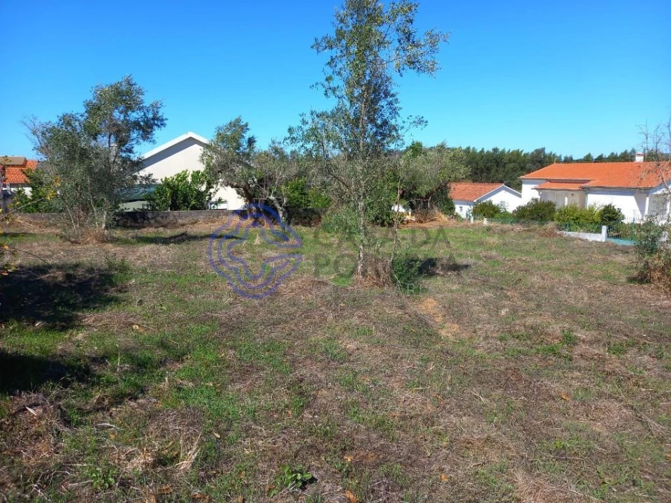 Terreno para Venda em Beco Foto 10