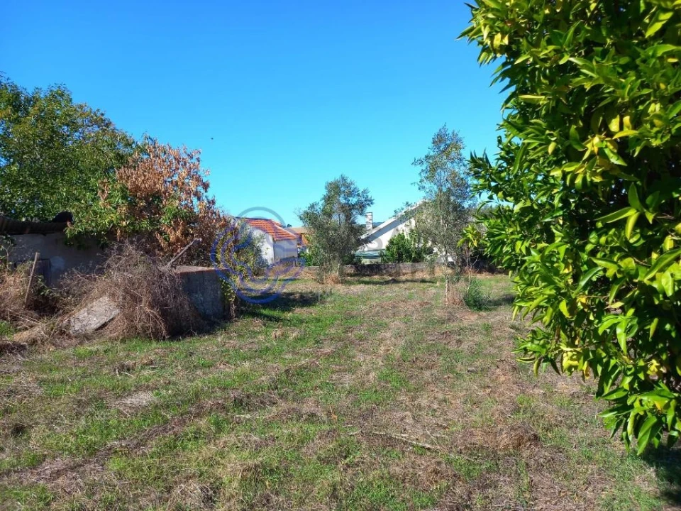 Terreno para Venda em Beco Foto 12
