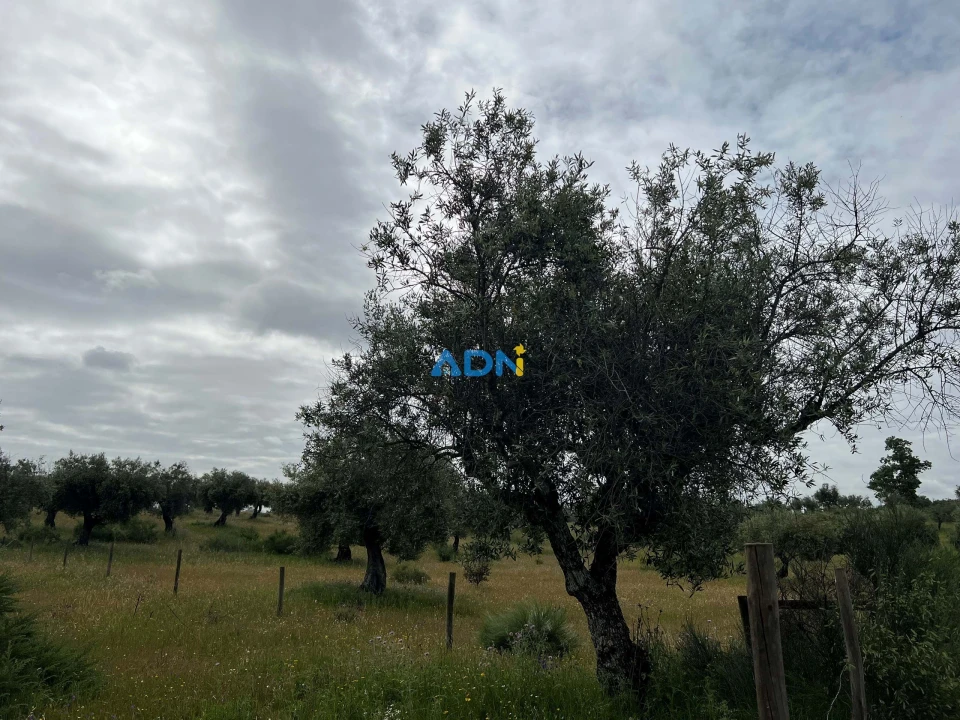 Quinta para Venda em Alcaide Foto 7