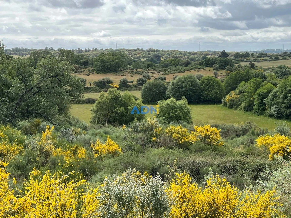 Quinta para Venda em Alcaide Foto 44