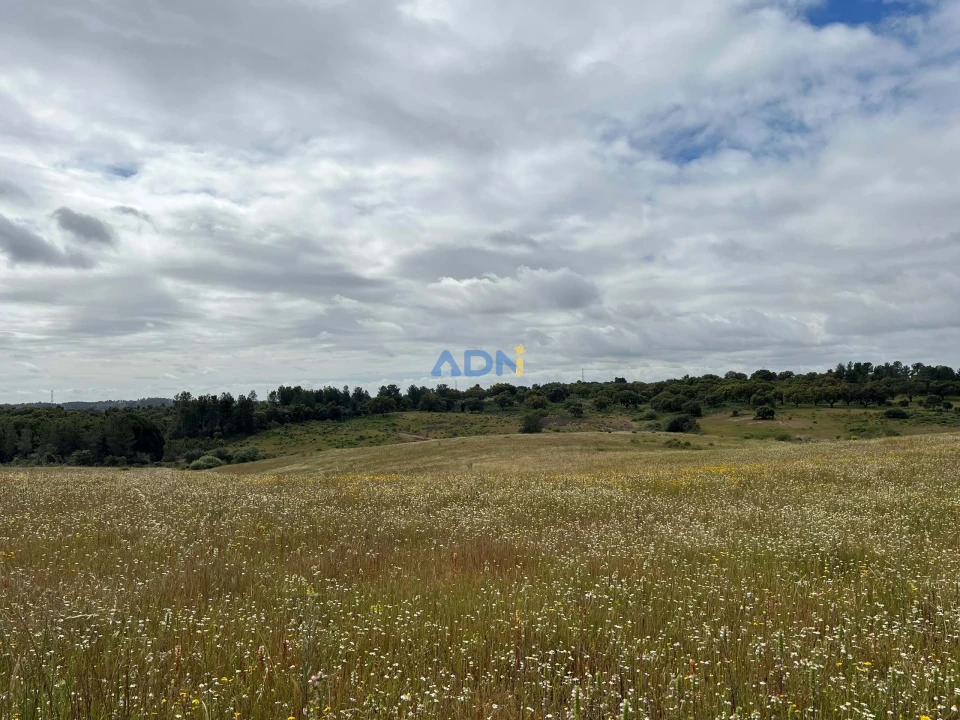 Quinta para Venda em Alcaide Foto 34