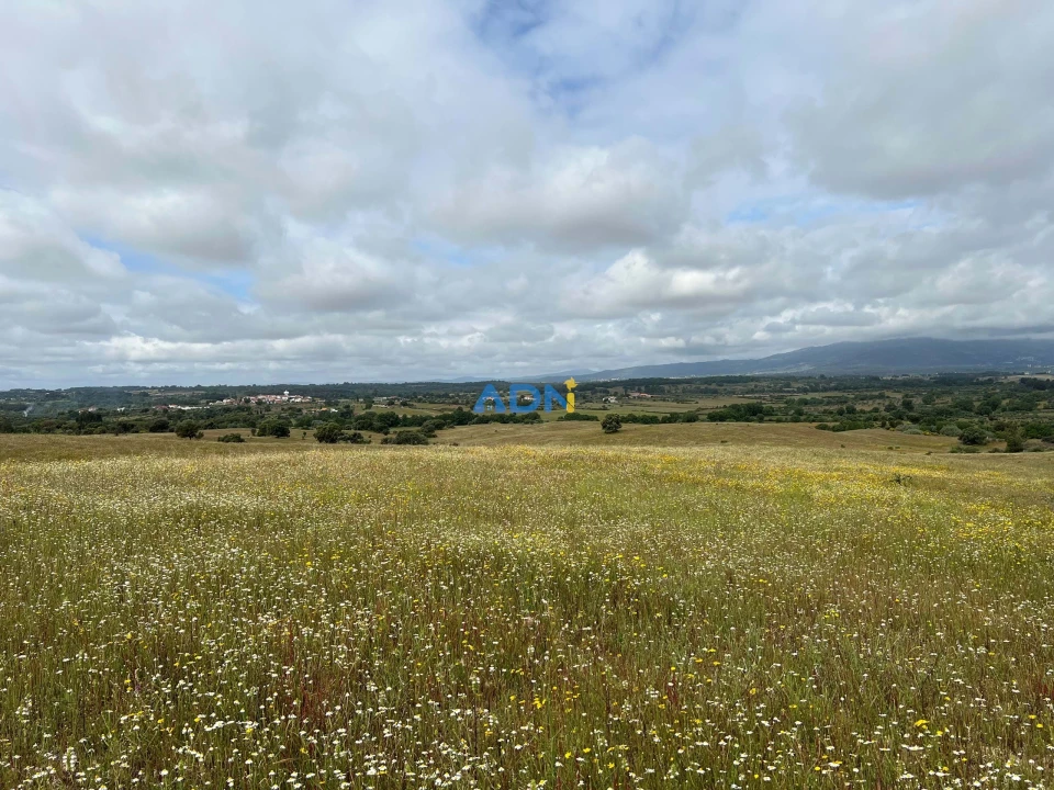 Quinta para Venda em Alcaide Foto 33