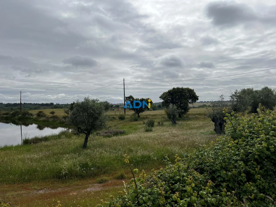 Quinta para Venda em Alcaide Foto 10