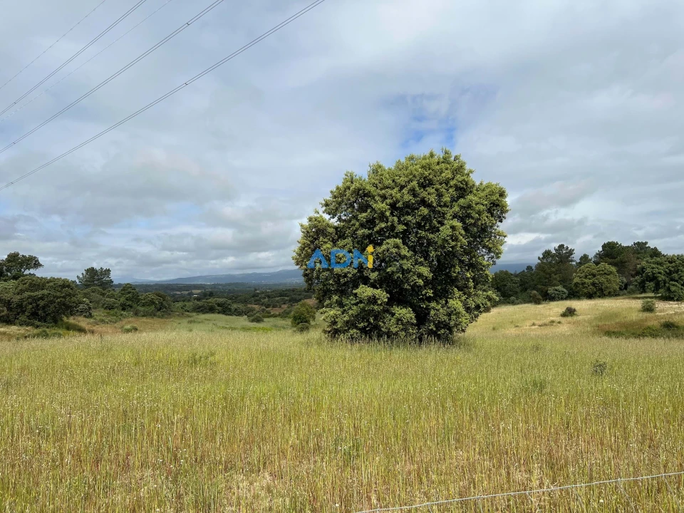 Quinta para Venda em Alcaide Foto 29