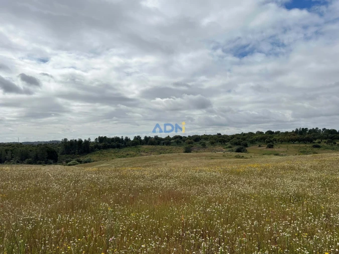 Quinta para Venda em Alcaide Foto 34