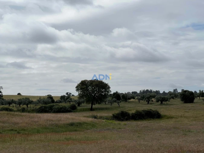 Quinta para Venda em Alcaide Foto 22