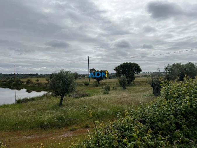 Quinta para Venda em Alcaide Foto 10