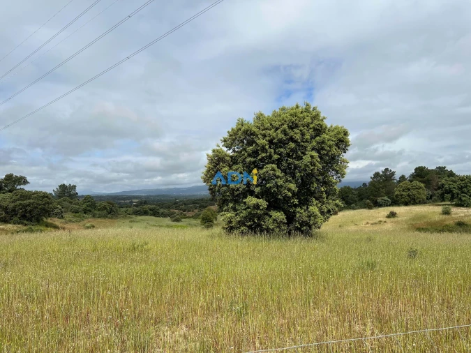 Quinta para Venda em Alcaide Foto 29