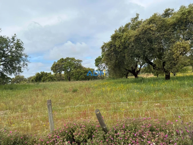 Quinta para Venda em Alcaide Foto 26