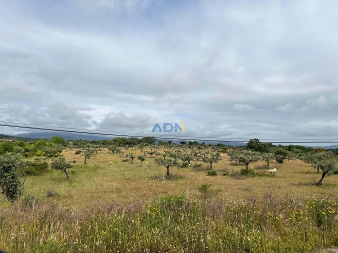 Quinta para Venda em Alcaide Foto 18