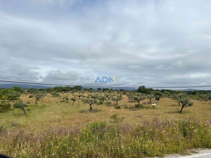 Quinta para Venda em Alcaide Foto 17