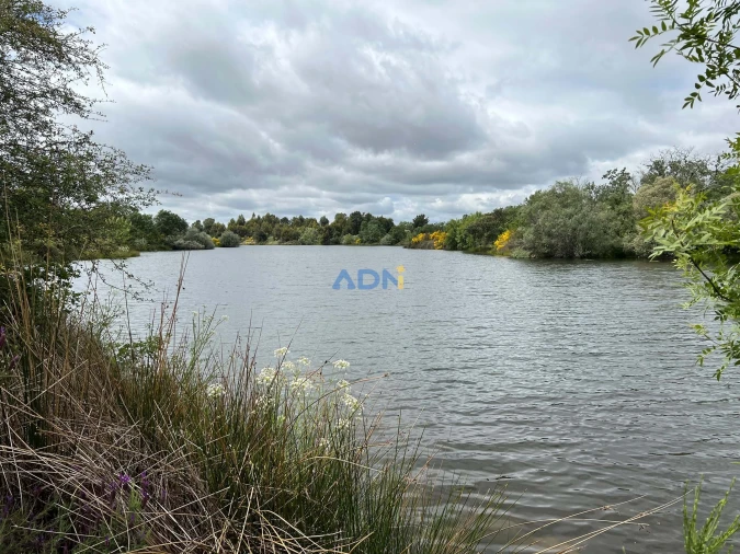 Quinta para Venda em Alcaide Foto 5