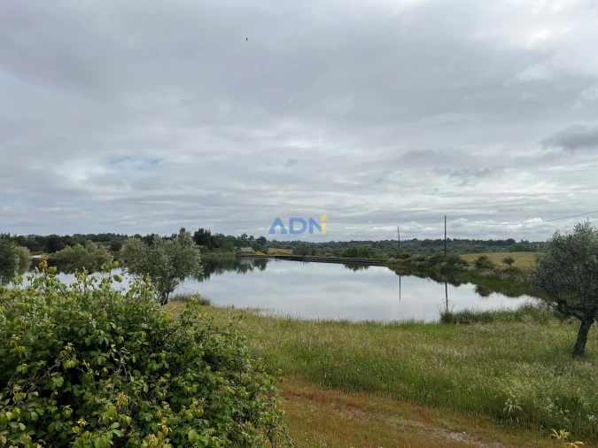 Quinta para Venda em Alcaide Foto 9