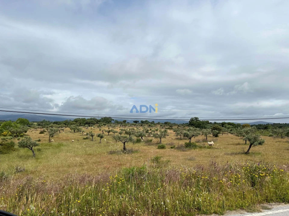 Quinta para Venda em Alcaide Foto 17