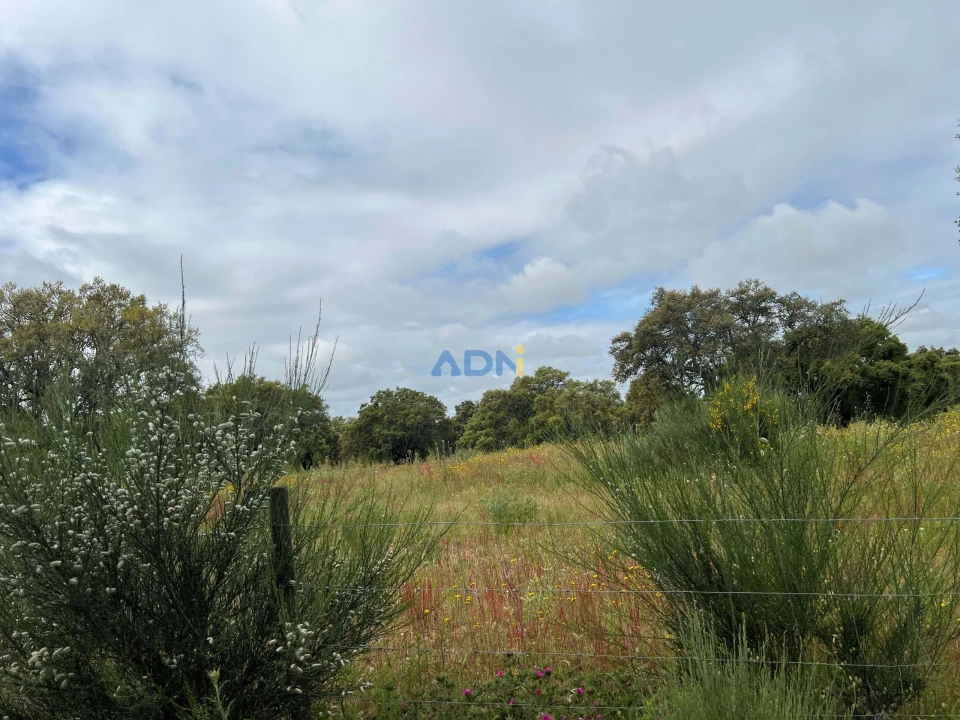 Quinta para Venda em Alcaide Foto 25