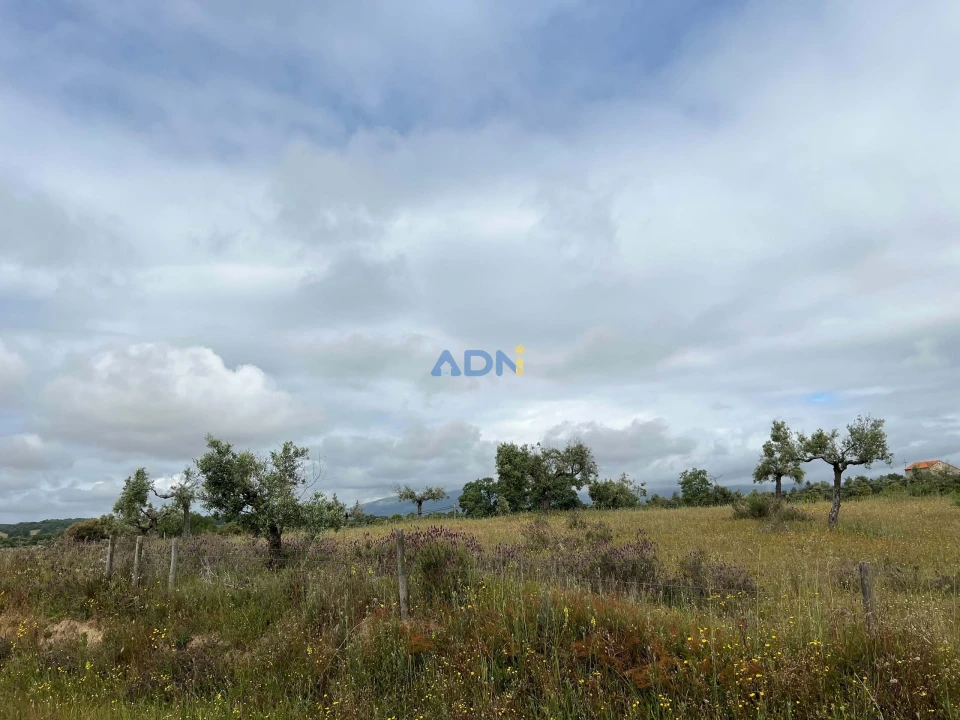 Quinta para Venda em Alcaide Foto 21