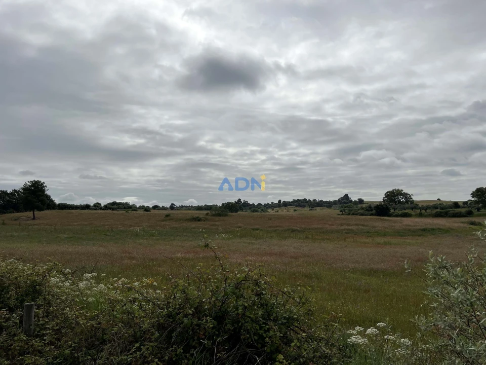 Quinta para Venda em Alcaide Foto 19