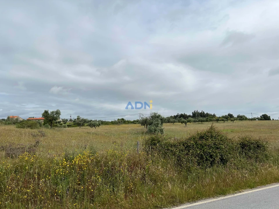 Quinta para Venda em Alcaide Foto 20