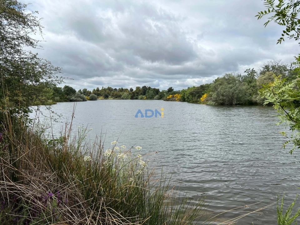 Quinta para Venda em Alcaide Foto 5