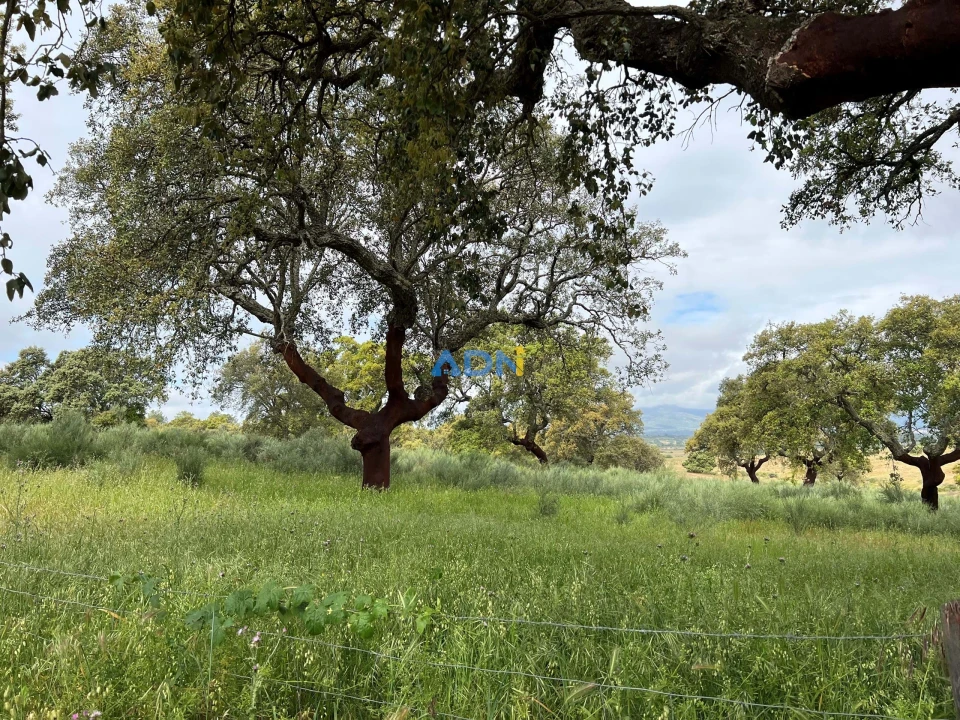 Quinta para Venda em Alcaide Foto 23