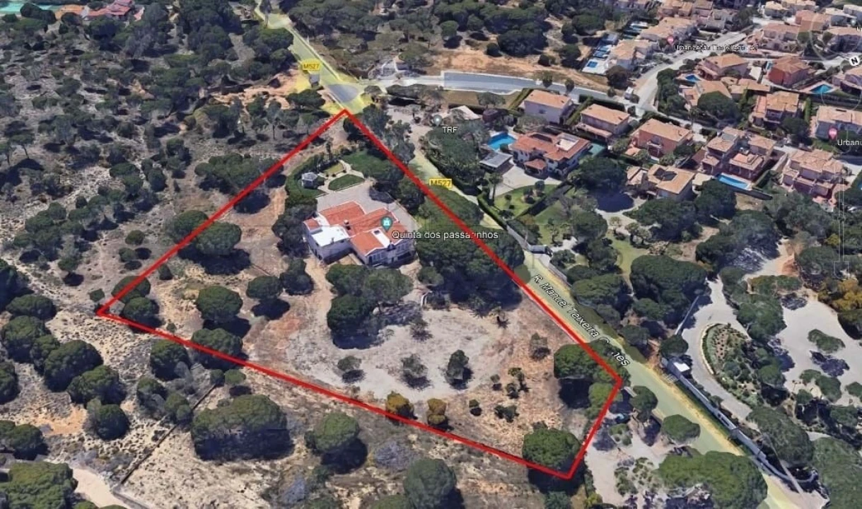 Negócio para Venda em Almancil Foto 1