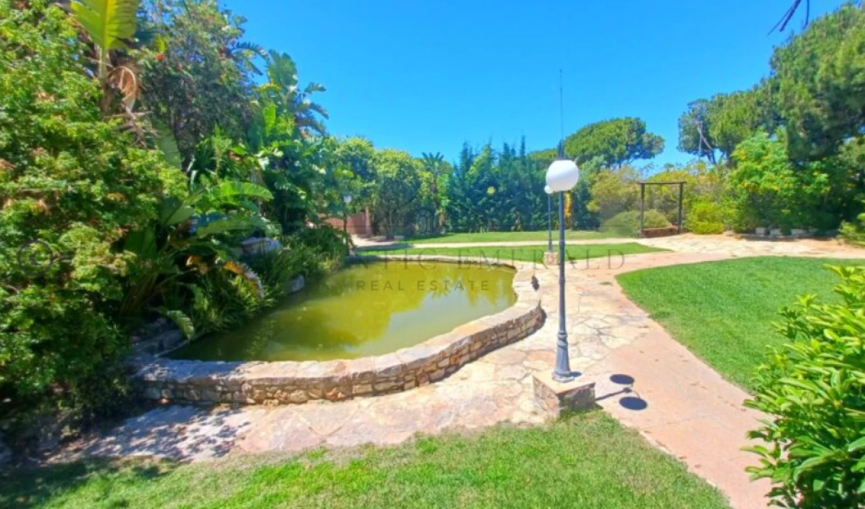 Negócio para Venda em Almancil Foto 5