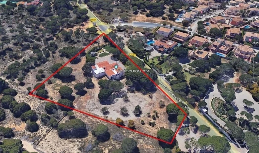 Negócio para Venda em Almancil Foto 1