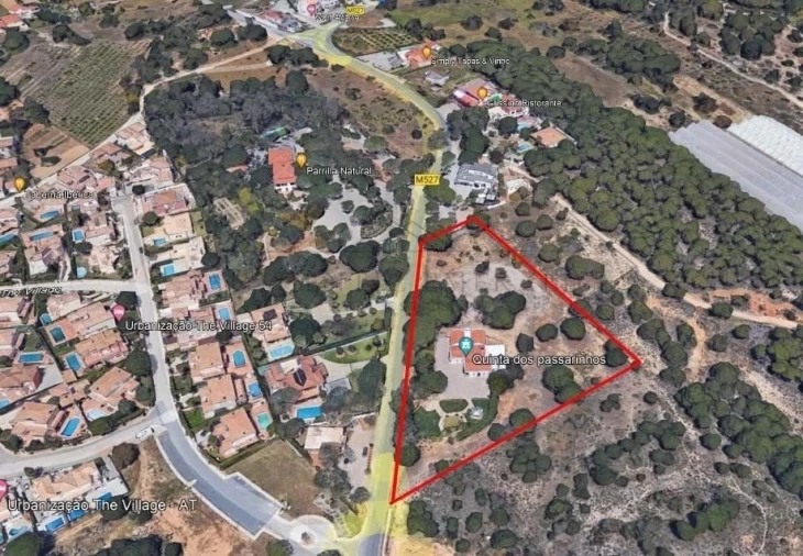 Negócio para Venda em Almancil Foto 2