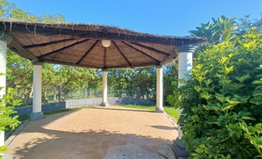 Negócio para Venda em Almancil Foto 14