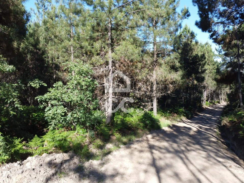 Terreno para Venda em Redondelo Foto 17