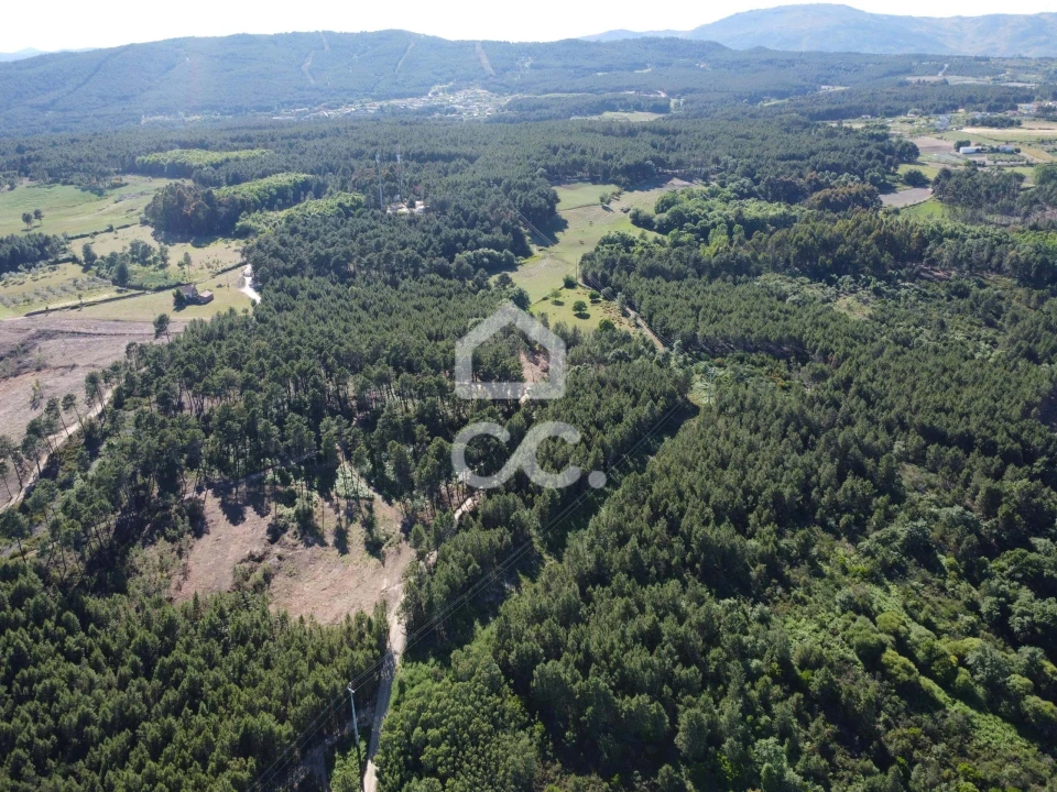 Terreno para Venda em Redondelo Foto 11