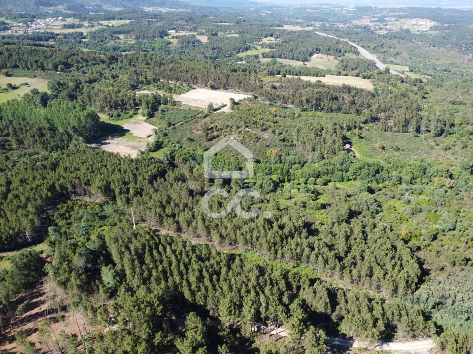 Terreno para Venda em Redondelo Foto 7