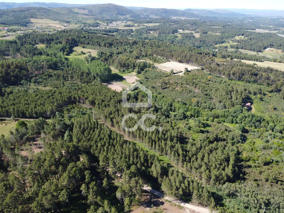 Terreno para Venda em Redondelo Foto 8